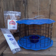 Bluebird Banquet Bundle