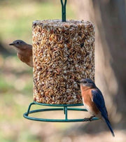 Bird seed EZFeeder with birds perched on it against a natural background