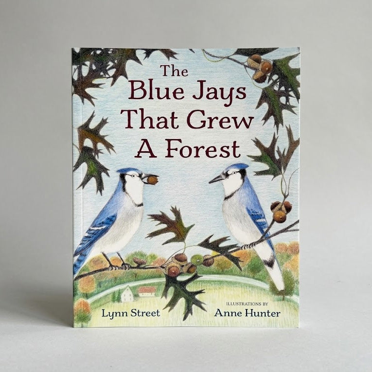 The Blue Jays That Grew a Forest

