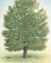 The Blue Jays That Grew a Forest
sample page