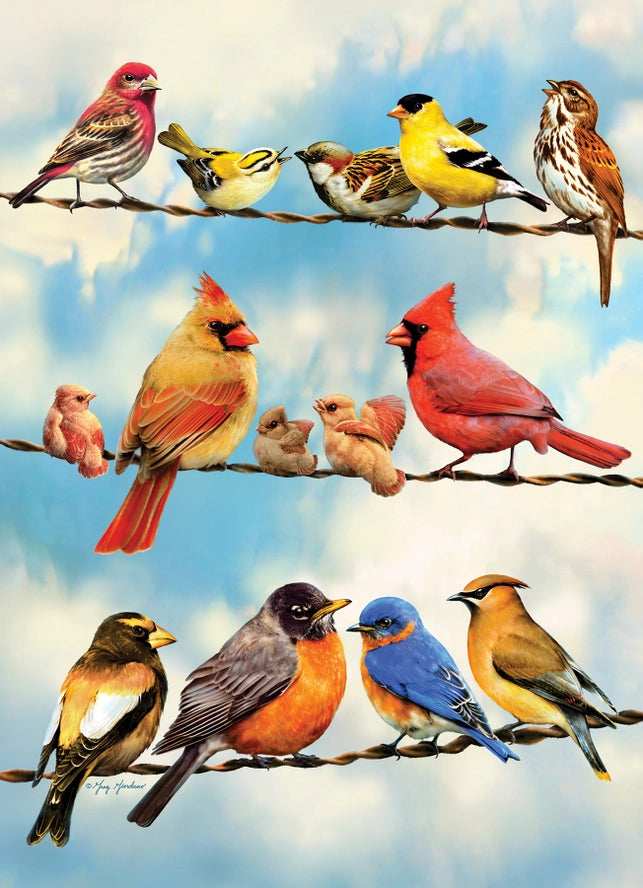 rows of birds on a wire again a blue sky background