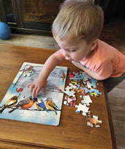 little kid putting together the Blue Sky Birds Tray Puzzle
