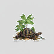 Vinyl Sticker - Box Turtle with Mayapple and Tiger Beetles