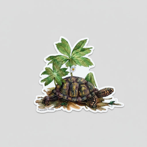Vinyl Sticker - Box Turtle with Mayapple and Tiger Beetles