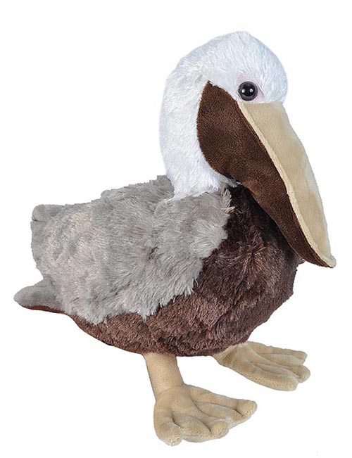 Brown Pelican stuffed animal