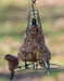 Mr. Bird Bugs, Nuts, & Fruit Seed Bell on Mr Bird Seed Bell Hanger with goldfinch and house finch