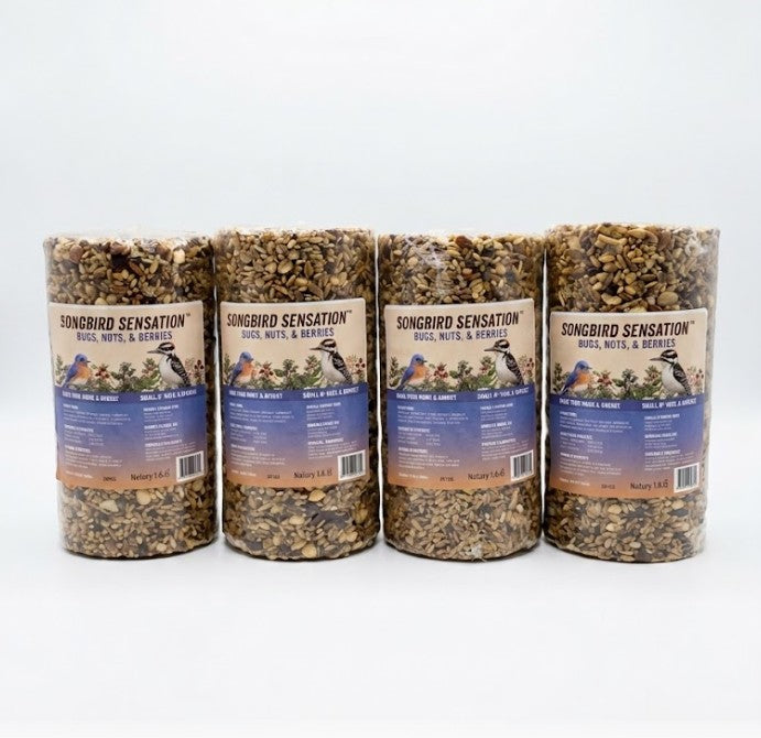 4 Pack Bugs, Nuts and Berries Seed Cylinder 1.5 lbs