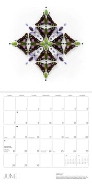 Calendar page for June with a decorative butterfly design on a white background