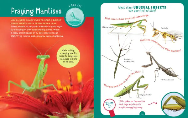 Backpack Explorer: Bug Hunt
sample pages