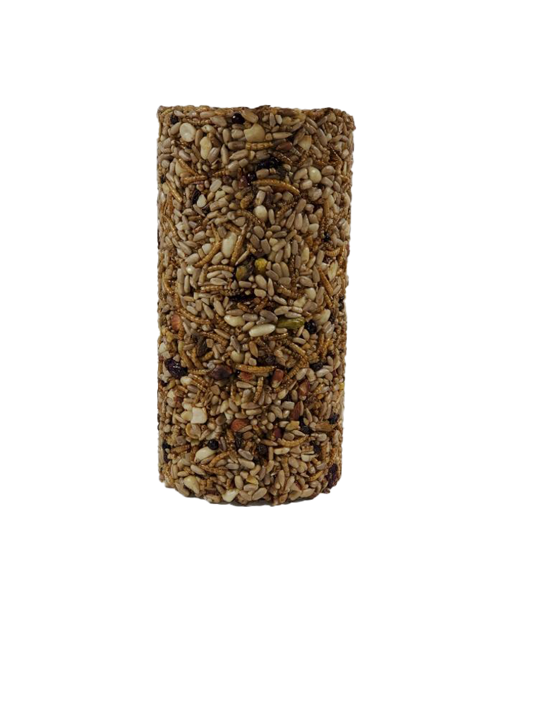 Barrier Guard Seed Cylinder Feeder Deluxe - Bugs, Nuts and Berries Seed Cylinder  Banquet Bundle - 