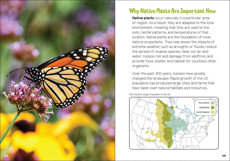 Monarch butterfly photo with text about why native plants are important now