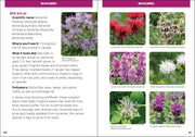 Page from a book or guide showing images and information about wildflower species.