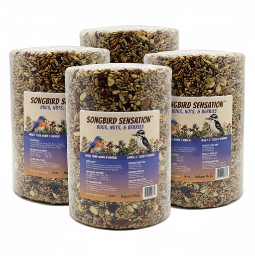 4 Pack Bugs, Nuts and Berries Seed Cylinder - Large - 3.8 lbs