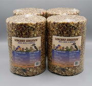 4 Pack Bugs, Nuts and Berries Seed Cylinder - Large - 3.8 lbs