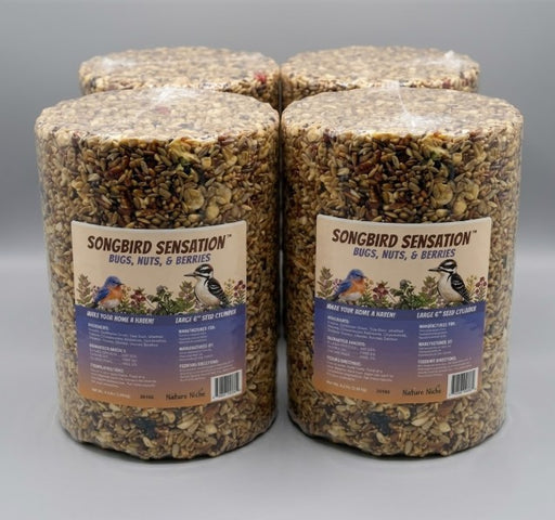 4 Pack Bugs, Nuts and Berries Seed Cylinder - Large - 3.8 lbs