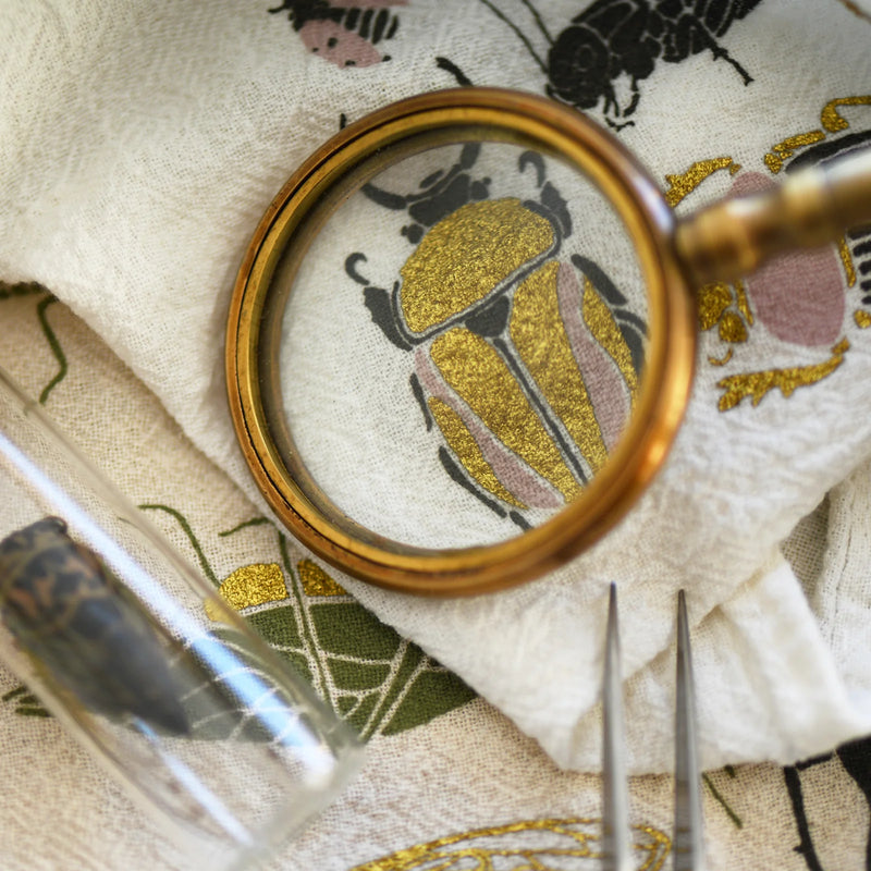 Small Wonders Towel
