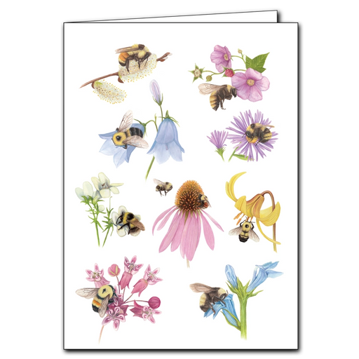 Bumblebee Ballet Greeting Card