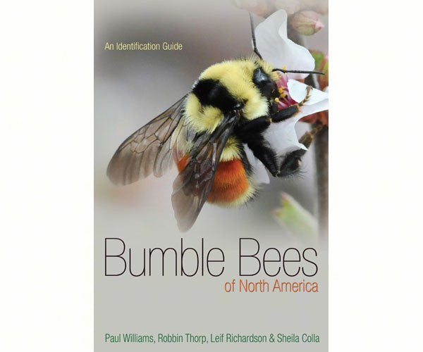 Bumble Bees of North America