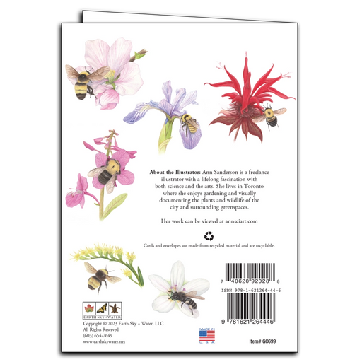 Bumblebee Ballet Greeting Card - back of card