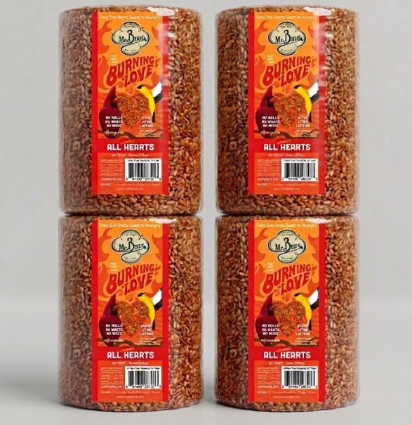 Mr. Bird Burning Love Seed Cylinder - Large - 4 Pack