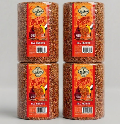 Mr. Bird Burning Love Seed Cylinder - Large - 4 Pack