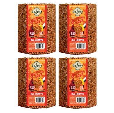 4 Pack Mr. Bird Burning Love Seed Cylinder - Large