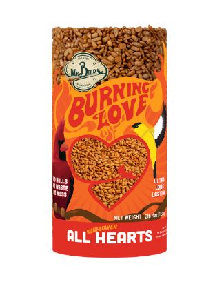 Mr. Bird Burning Love Seed Cylinder - Small