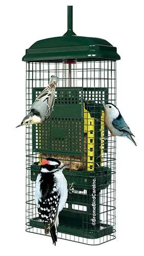 Deluxe Squirrel Buster Feeder System with Pole Set - Squirrel Buster Suet feeder