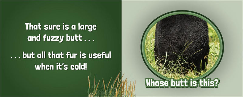 Black bear with text questioning whose butt it is, on a green and gray background.