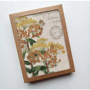 Butterfly Weed Vintage Botanical Specimen - Notecard Set of 8 with packaging