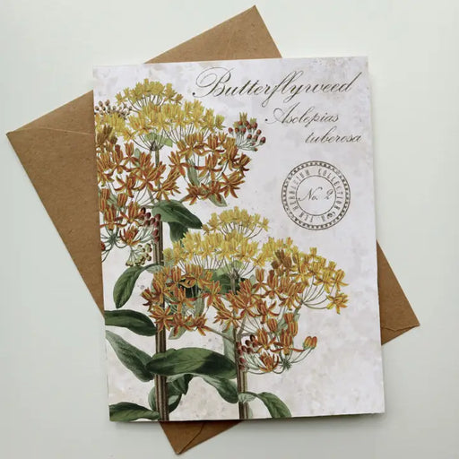 Butterfly Weed Vintage Botanical Specimen - Notecard Set of 8 
individual card