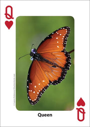 Bees and Butterflies Playing Cards