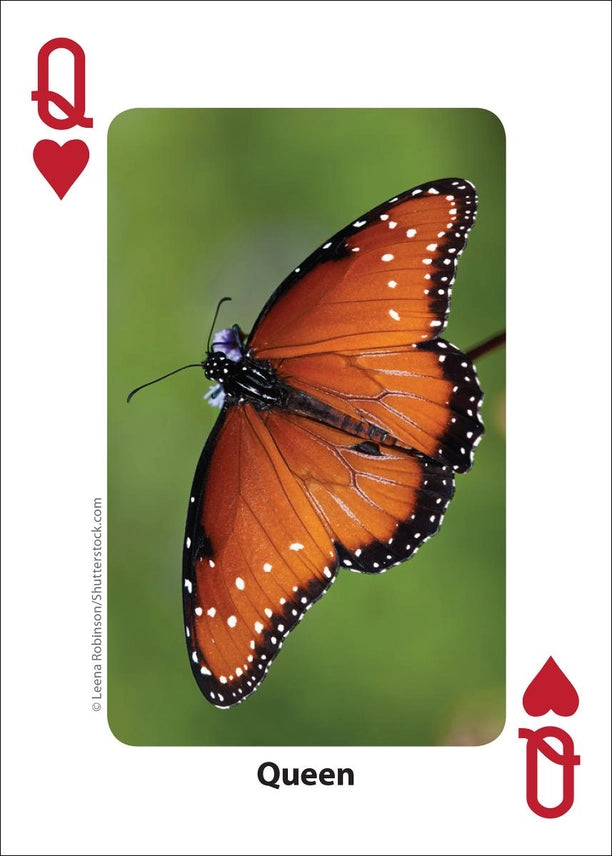 Bees and Butterflies Playing Cards