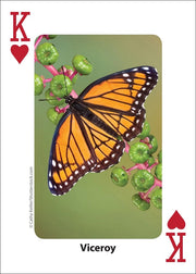 Bees and Butterflies Playing Cards