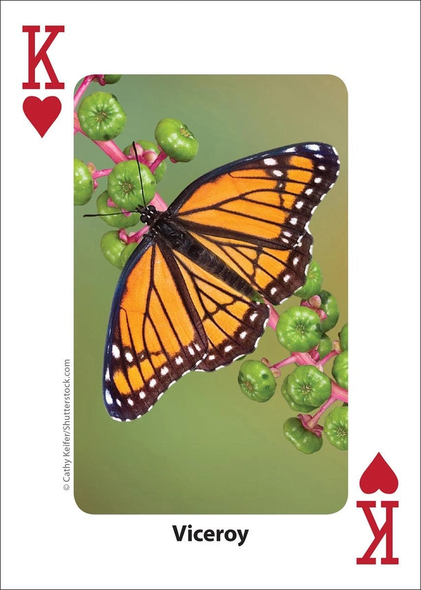 Bees and Butterflies Playing Cards