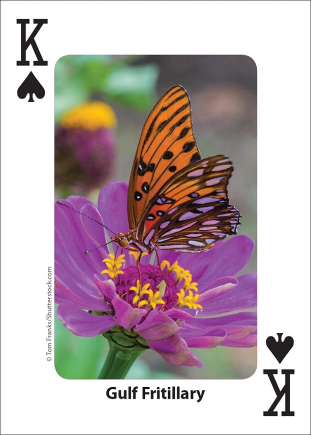 Bees and Butterflies Playing Cards