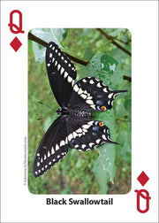 Bees and Butterflies Playing Cards