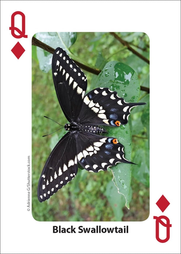 Bees and Butterflies Playing Cards