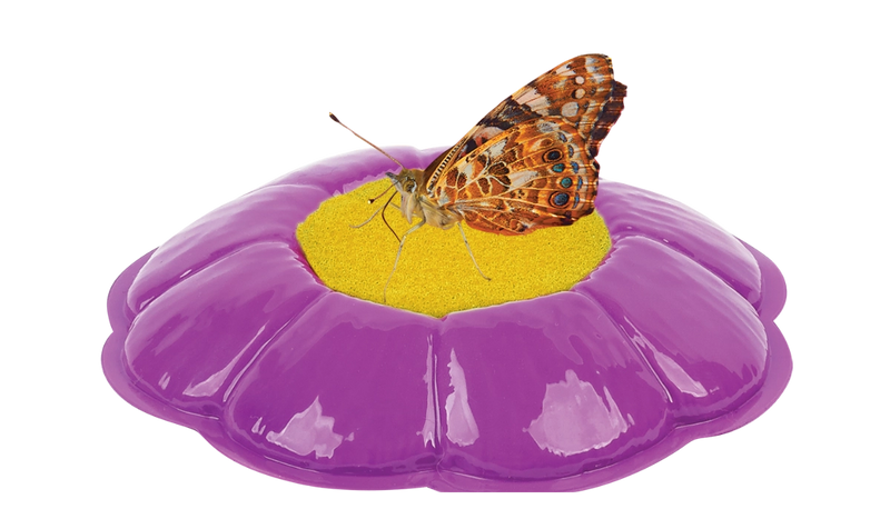 Butterfly Garden Home School Edition with Prepaid Voucher