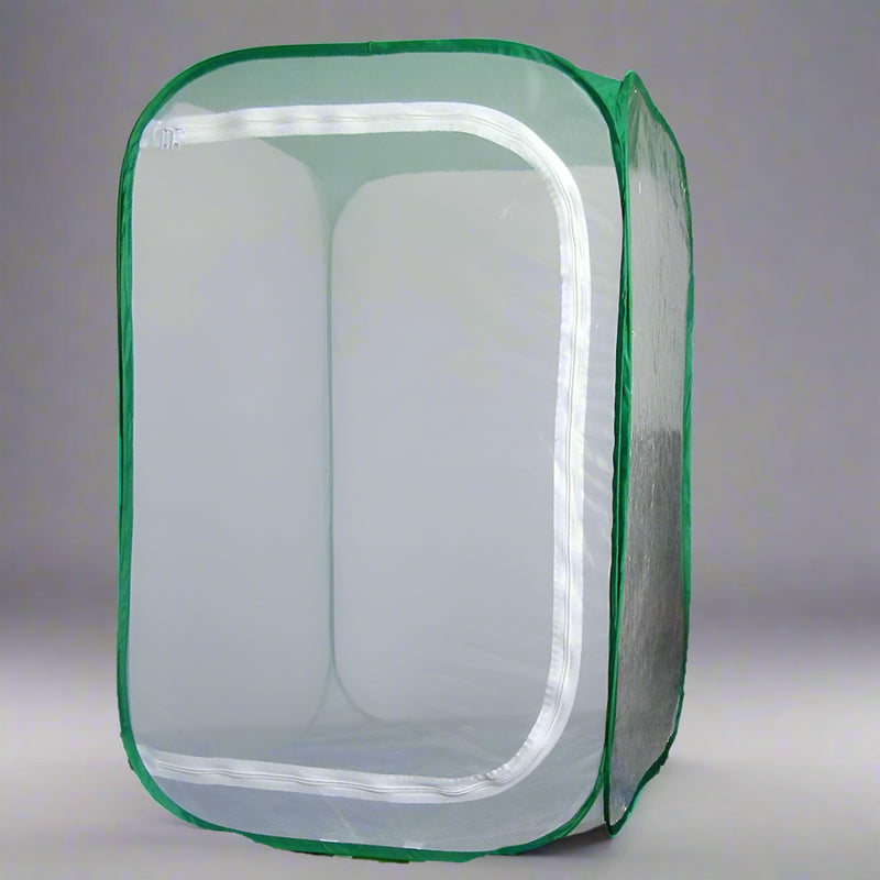 Large Butterfly Habitat