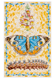 Butterflies Boxed Notecard Assortment by David Cohen
Common Buckeye, 2023