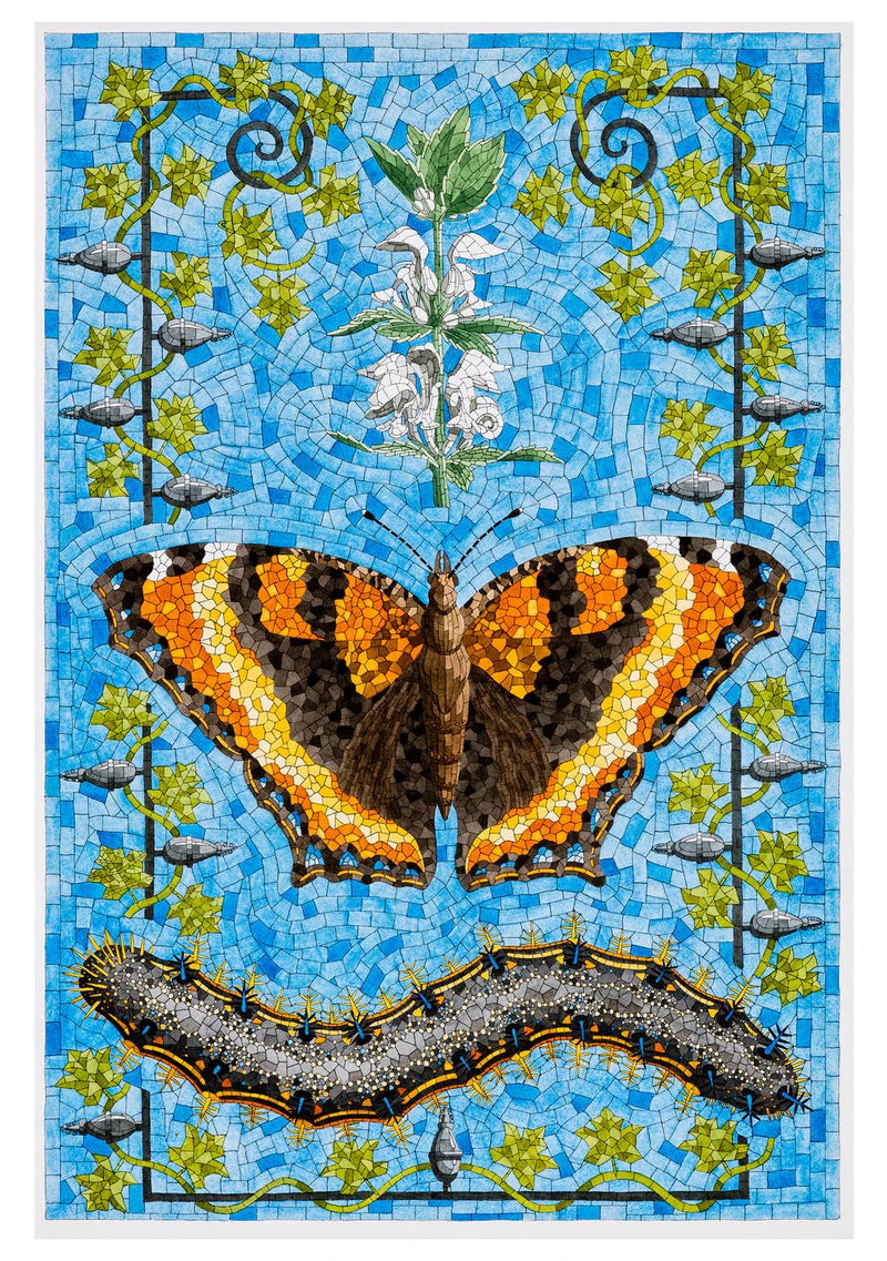 Butterflies Boxed Notecard Assortment by David Cohen
Milbert's Tortoiseshell, 2023