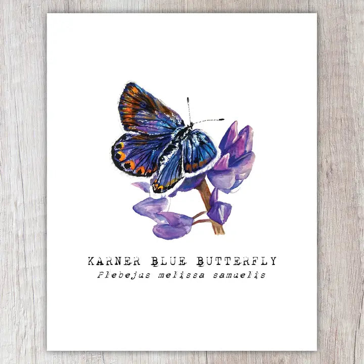 Karner Blue Butterfly Note Card