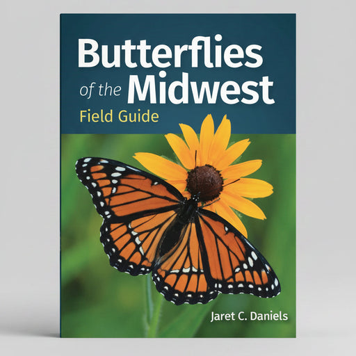 Butterflies of the Midwest Field Guide