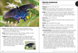 Butterflies of the Midwest Field Guide - sample pages