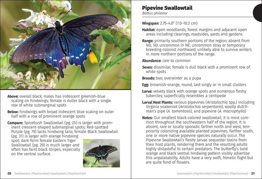 Butterflies of the Midwest Field Guide - sample pages