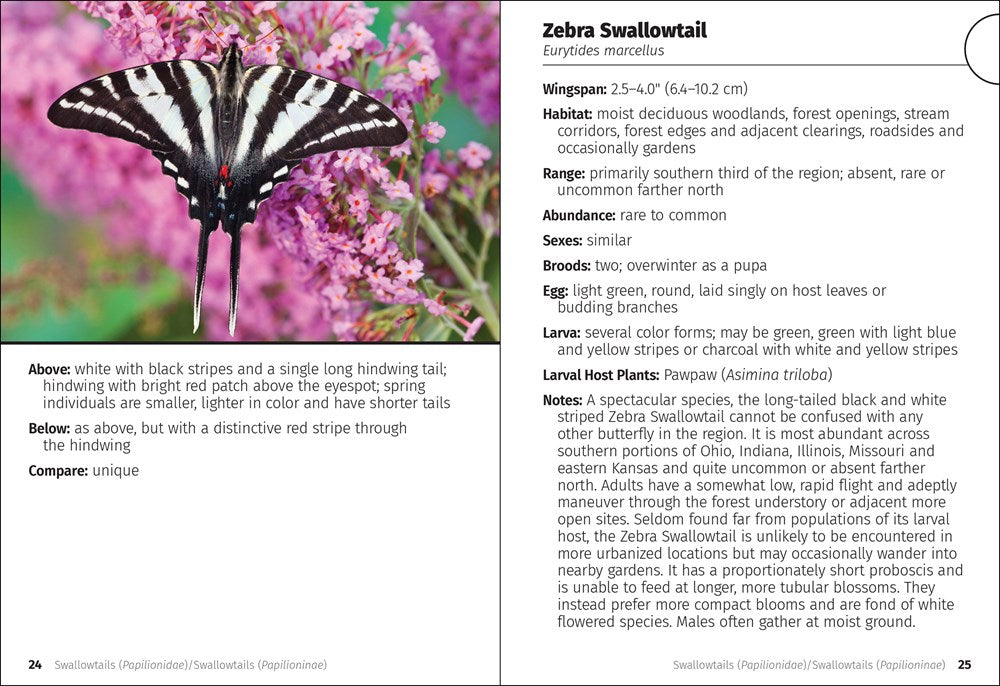 Butterflies of the Midwest Field Guide - sample pages