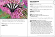 Butterflies of the Midwest Field Guide - sample pages