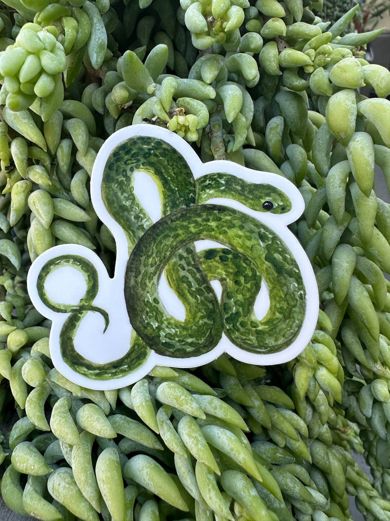 Smooth Green Snake Sticker