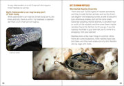 Reptiles & Amphibians for Kids 
sample page